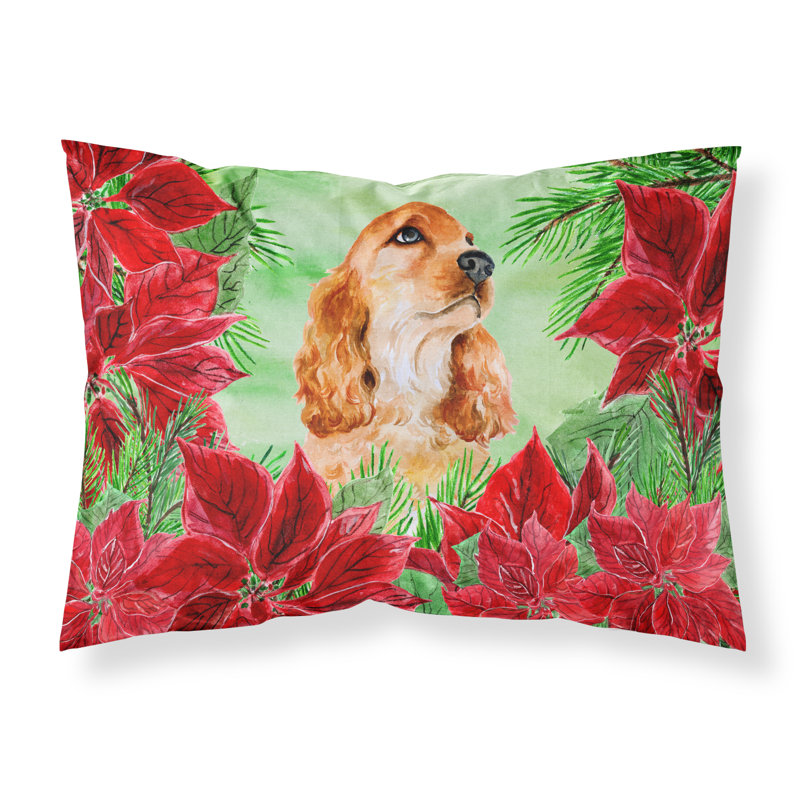 Microfiber, Cocker Spaniel