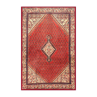 Annalotta Oriental Indoor Rug