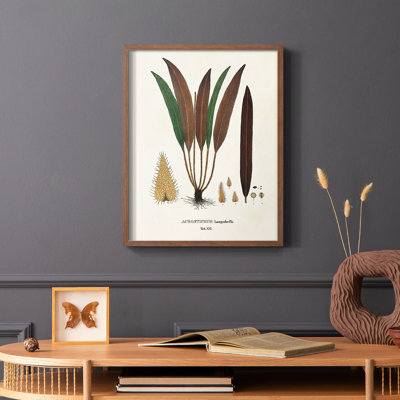Botanical Society Ferns I, reproduction encadrée - bois massif