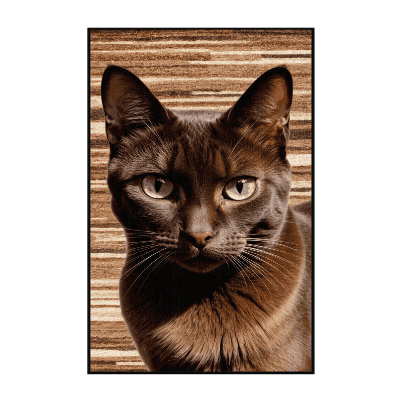 Tapis lavable brun Havana, Rectangulaire 8 pi x 10 pi