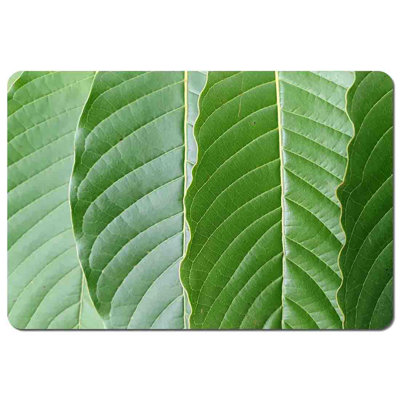 Mintautas Polyester Coated Hardwood Rectangle Placemat