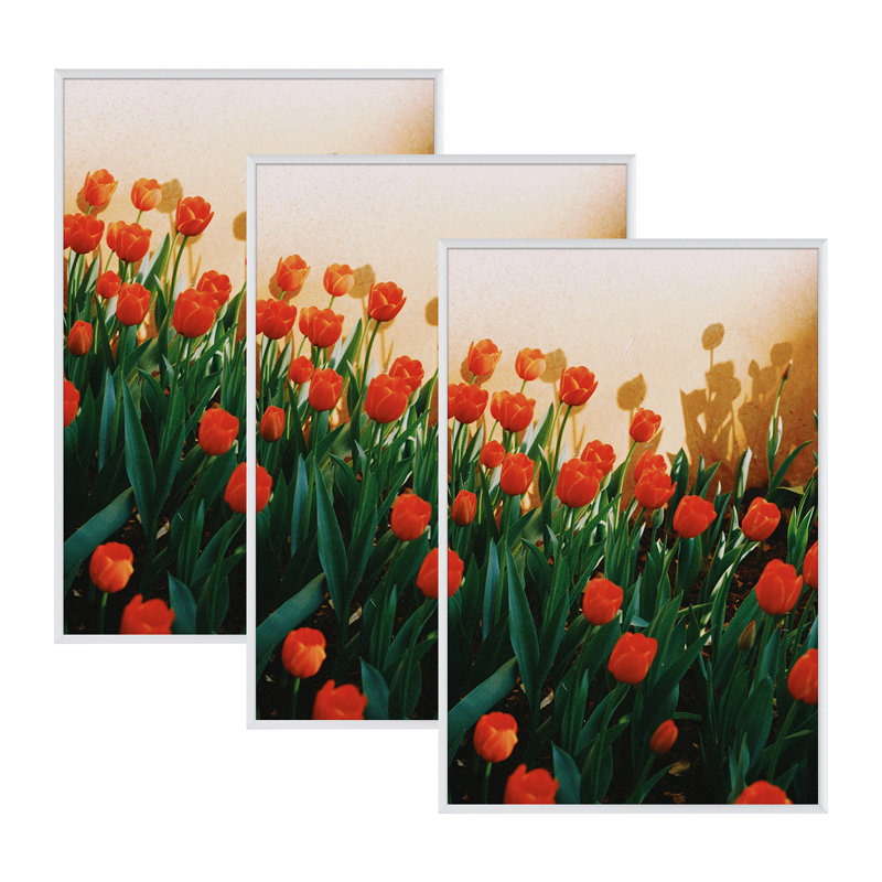 Metal Picture Frame - Set of 3, Silver, 19" x 13"