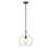 Hageman 1 - Light Single Pendant-891293866