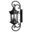 Raley 4-Light Outdoor Wall Lantern