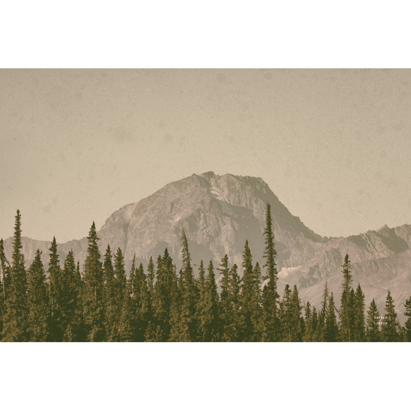 «Mountainous IV» par Nathan Larson, H 48 po x l 72 po