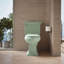 Lustra with Quick-Release Hinges Toilet Seat-321898819-342726763