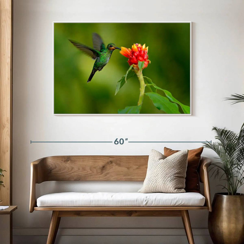 Fleur et colibri vert, Cadre flottant blanc, 46 po x 31 po
