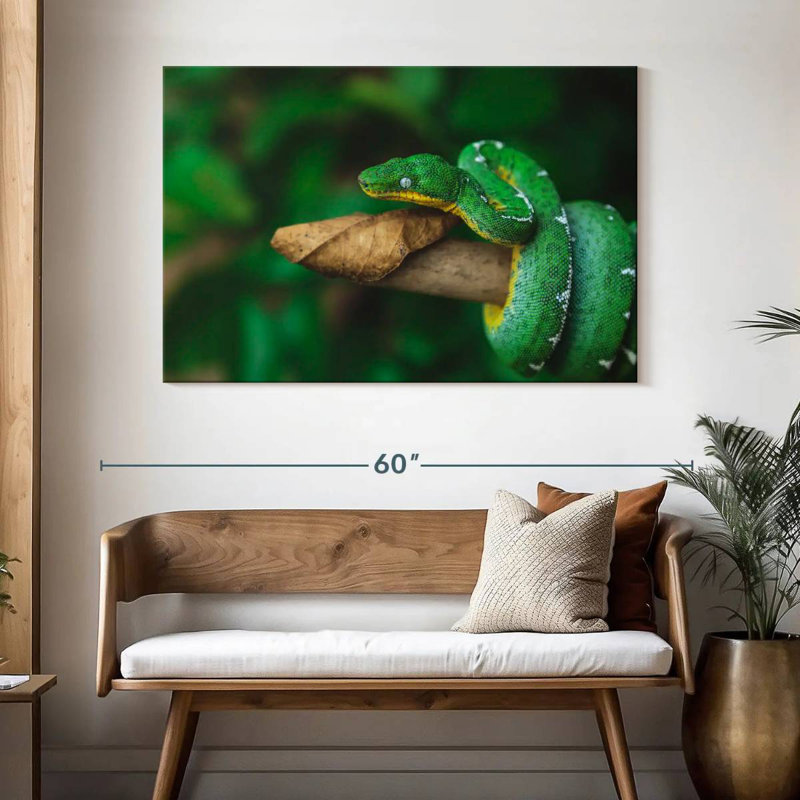 Emerald Tree Snake, 32" H x 48" W