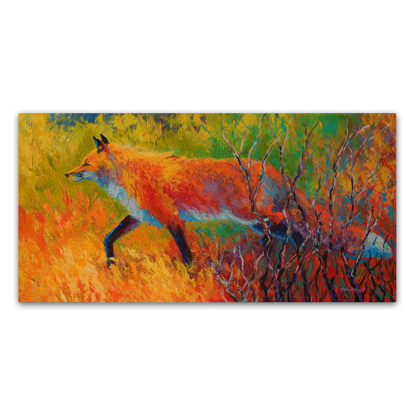 «Kucera Red Fox 1», reproduction sur toile tendue, H 16 po x l 32 po