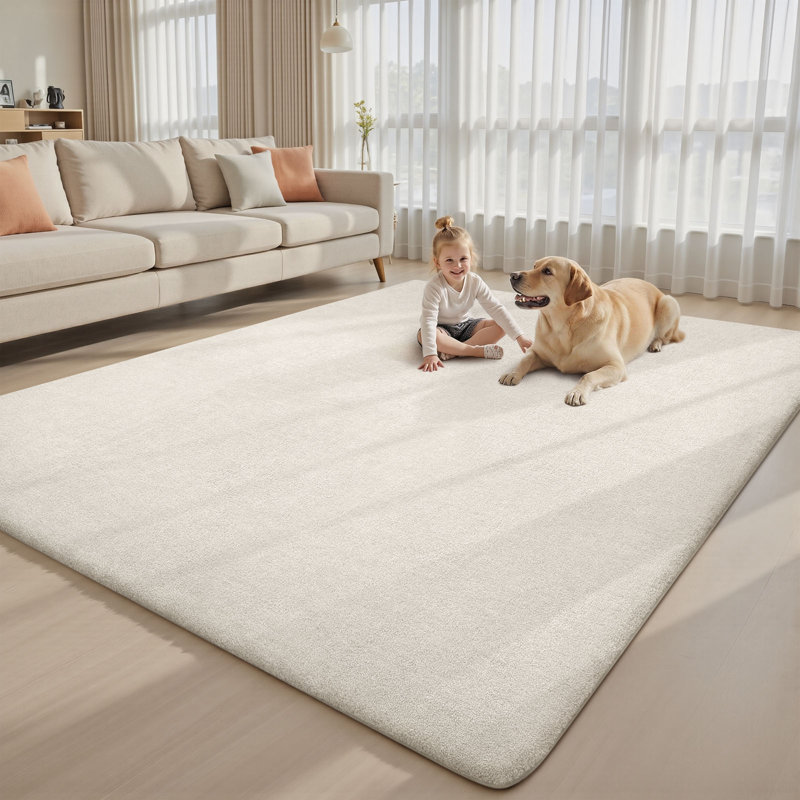 9x12 Area Rugs for Living Room, Soft Large Area Rug Fluffy Rugs for Bedroom，Machine Washable Area Rug Non Slip Carpet Rug for Living Room Playroom Kids Room Home Decor