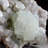 Landscape & Nature Crystal