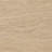 Balon Trunk-Charter Oatmeal