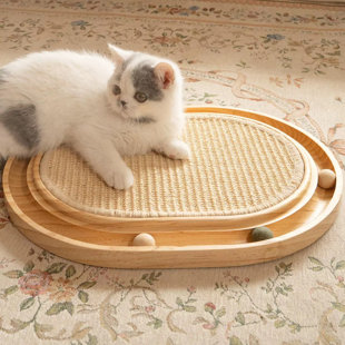 Cat Toy & Scratching Board