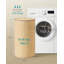 Laundry Hamper with Handles