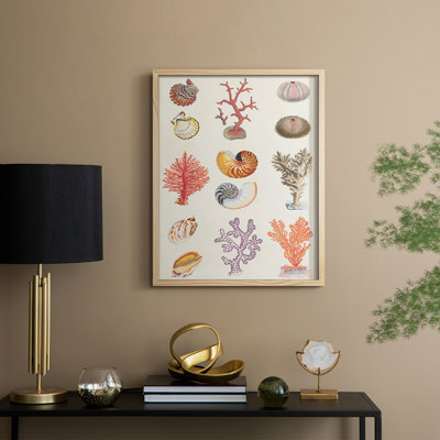 Coral & Shell Collage I Framed Print - Solid Wood