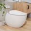 Toilette allongée une pièce à chasse double 1,1 / 1,6 GPF en blanc avec siphon-113196333