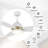 Eleanar 48'' Ceiling Fan with LED Lights