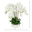 Orchid Arrangement in a Round Ceramic Vase