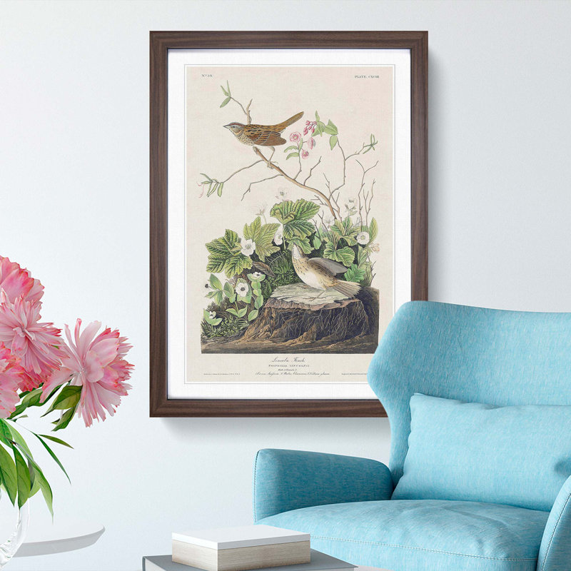 Lincoln Finch Birds by John Audubon - Picture Frame Painting Print, Walnut Framed, 48cm H x 36cm W x 2cm D