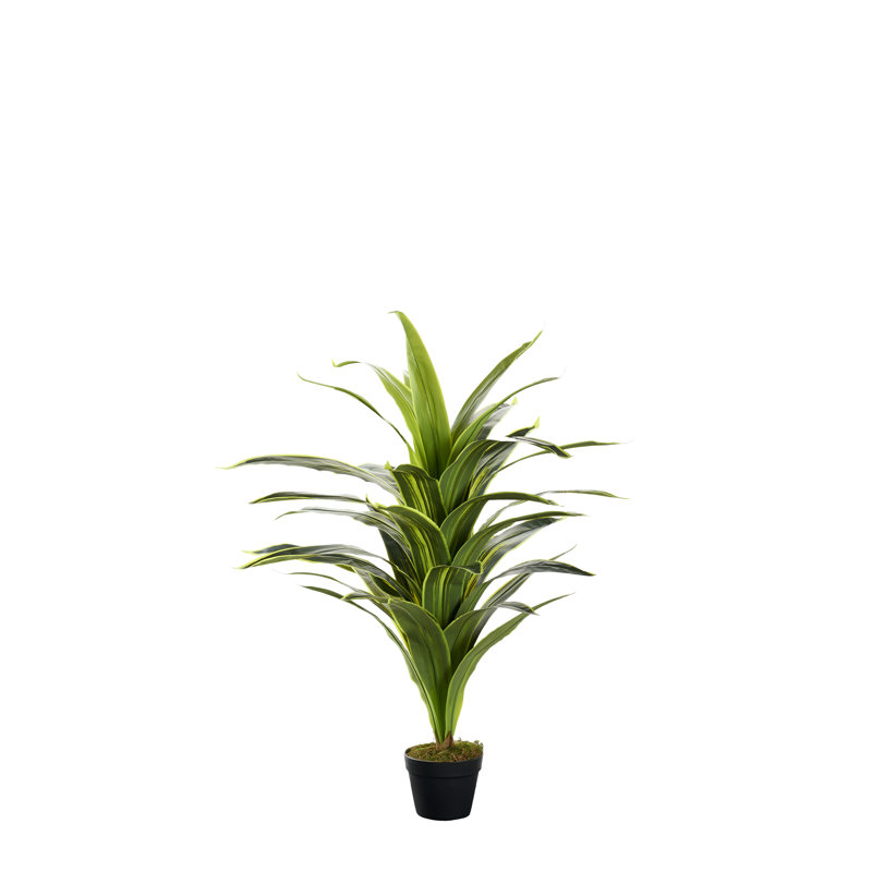 Arbre à fleurs faux 48 po Dracaena