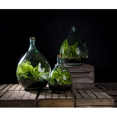 Pioche Terrarium Bottle 5 Litre Set