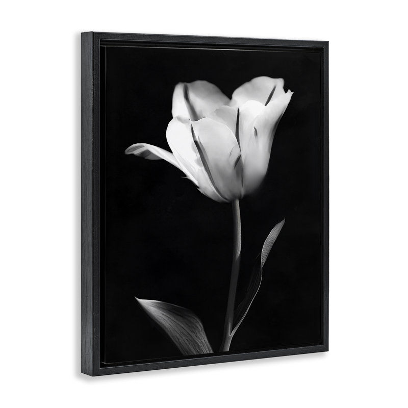Cadre flottant Modern, Cadre flottant noir de jais, H 21 po x l 17 po
