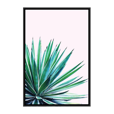 « agave love »-impression sur l’image