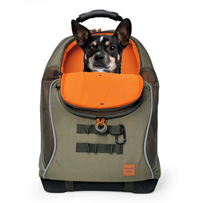 Adventure-Ready Pet Backpack Carrier with Ventilation, Reinforced Base & Gear Attachment Loops