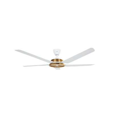 Ventilateur de plafond Speakeasy