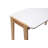 Angelinea Computer Desk