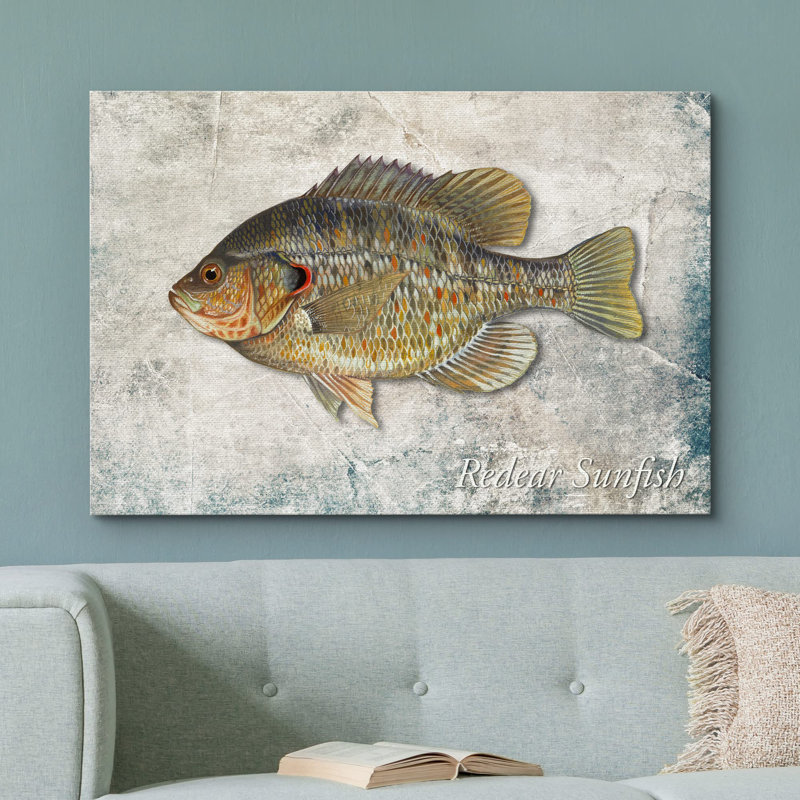 Fish " Redear Sunfish On Granite Background Marine Life Animals Realism Nautical Ultra ", 12" H x 18" W x 1.5" D