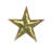 Star Dish Gold - Natural