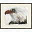 Bald Eagle 2 Painting
