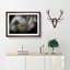 Colourful Elephant in Abstract - Picture Frame Graphic Art Print on MDF-55686102-55686105