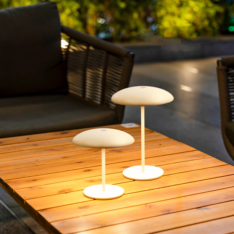 Laurina USB Novelty Table Lamp