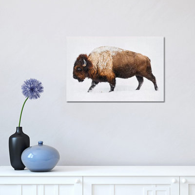 «Buffalo in the Snow» par Gal Design - impression sur toile tendue