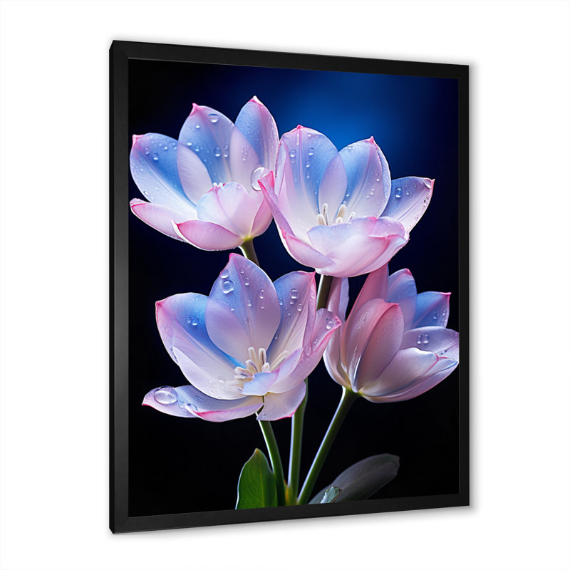 Chantler, tulipes roses et bleues enchantées sur fond noir - impression, H 20 po x l 12 po x P 1 po, Cadre photo noir