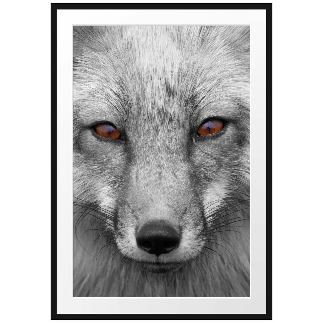 Gerahmtes Poster Wunderschöner Fuchs im Portrait