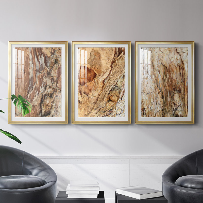 «Tree Texture Triptych I», reproduction encadrée de qualité supérieure - prête à être accrochée, Cadre doré