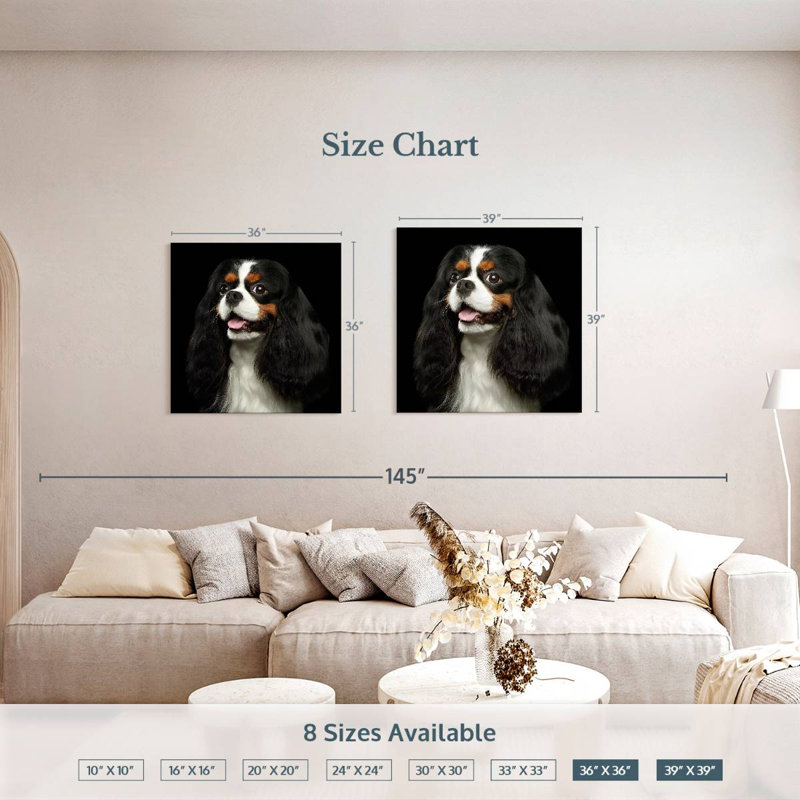 Crowle King Charles Spaniel Pup, 39" H x 39" W