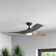 Ferland 60'' Ceiling Fan with LED Lights
