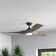 Mercury Row® Ferland 60'' Ceiling Fan with LED Lights & Reviews | Wayfair