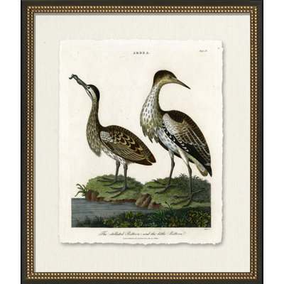 Medium Bittern Painting