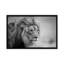 His Majesty.... by Jeffrey C. Sink - Wrapped Canvas Gallery-Wrapped Canvas Giclée-33080274-72232430-72232436