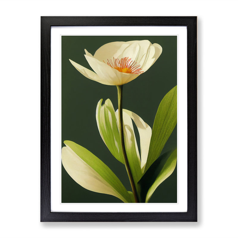 A Seductive Flower - Single Picture Frame Print, Black, 64cm H x 46cm W x 2cm D