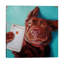 Lucia Heffernan - Print on Canvas-29382545-101342023
