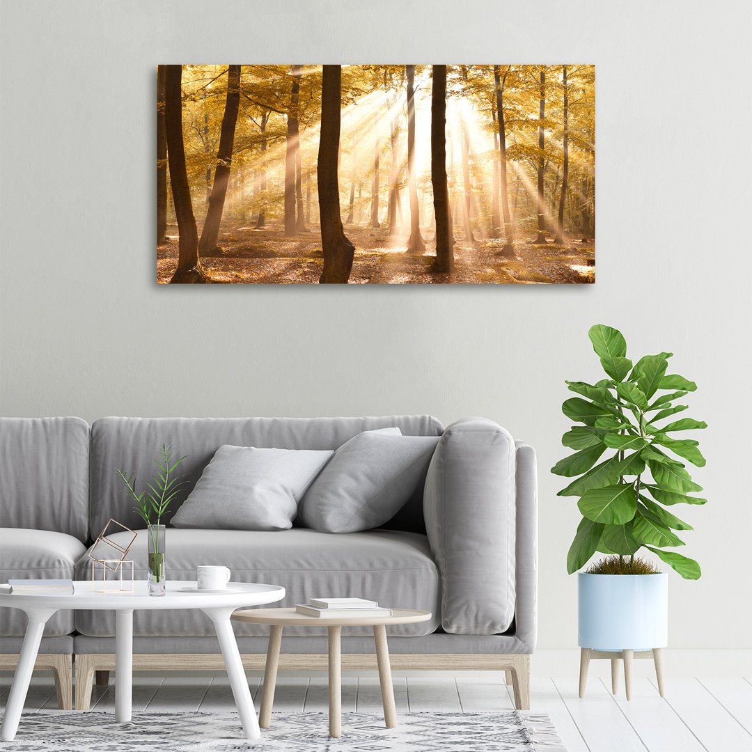 Herbstwald - Kunstdrucke auf Leinwand - Wrapped Canvas