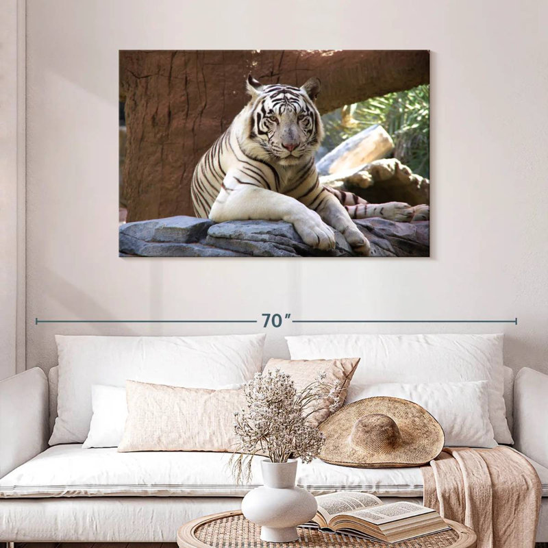 Crowle Resting White Tiger, 30" H x 45" W