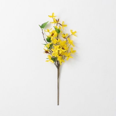Mcnulty Forsythia Arrangement
