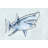 Great Shark II - Print on Canvas-1699766122